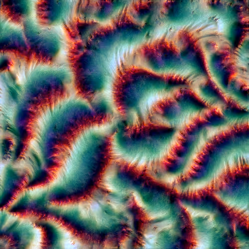 Genomes 4