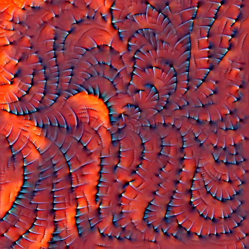 Genomes 4