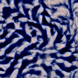 Genomes #1751