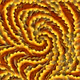 1269