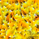 129