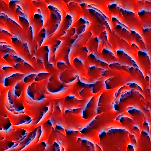 Genomes 4