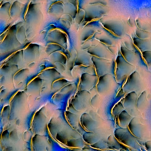 Genomes 4