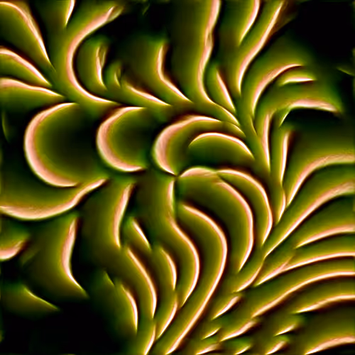 Genomes 4