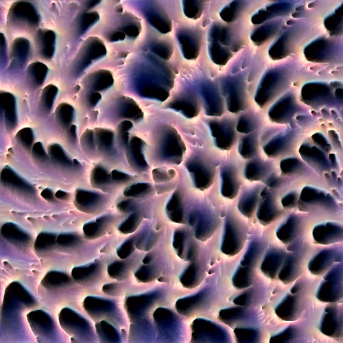 Genomes 4