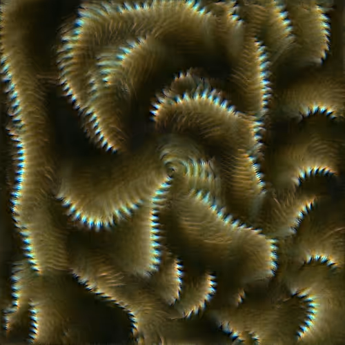 Genomes 4