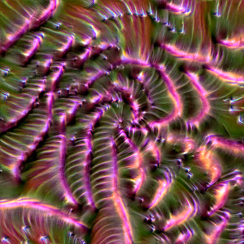 Genomes 4