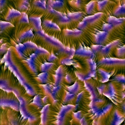 Genomes 4