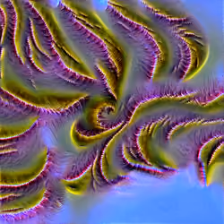 Genomes #2078