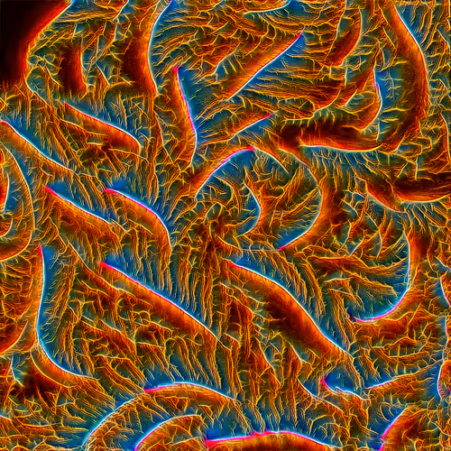 Genomes 4