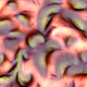 1050