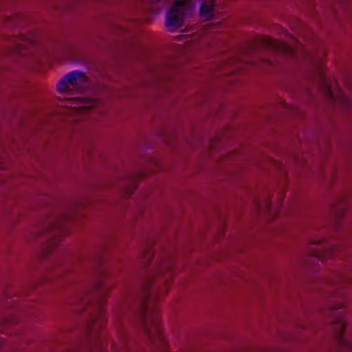 Genomes 4