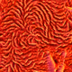 744