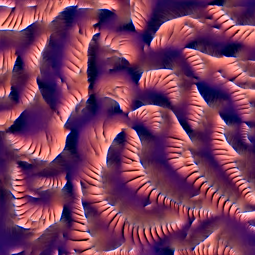 Genomes 4