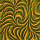1266