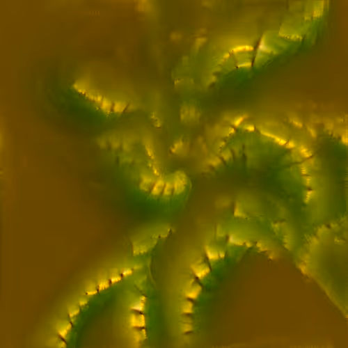 Genomes 4