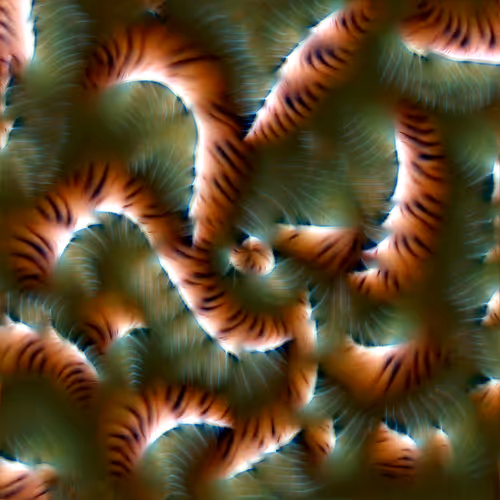 Genomes 4