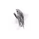 32