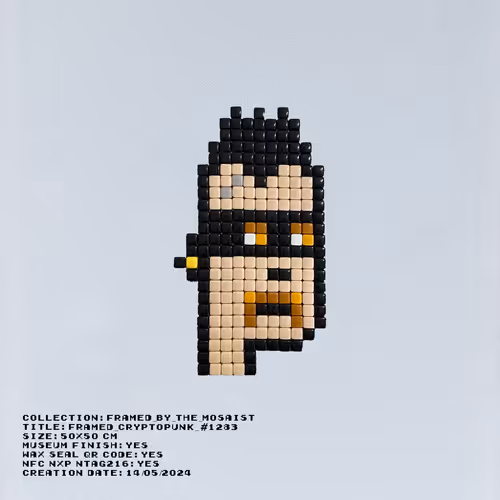Framed By The Mosaist