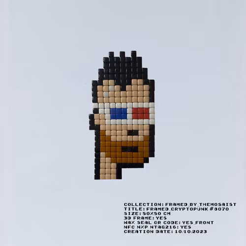 Framed By The Mosaist