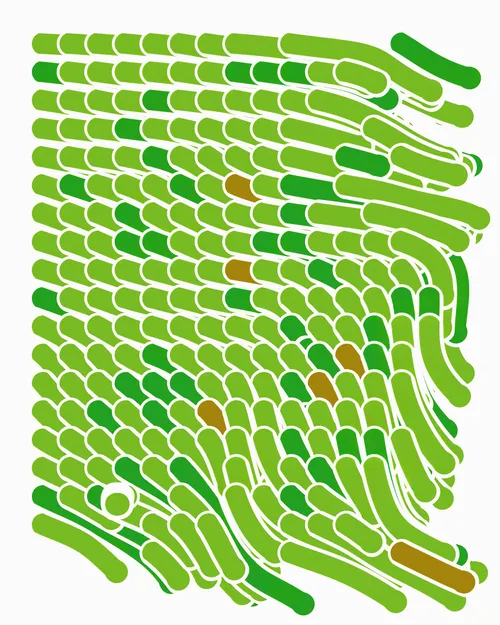 Item #15 Media