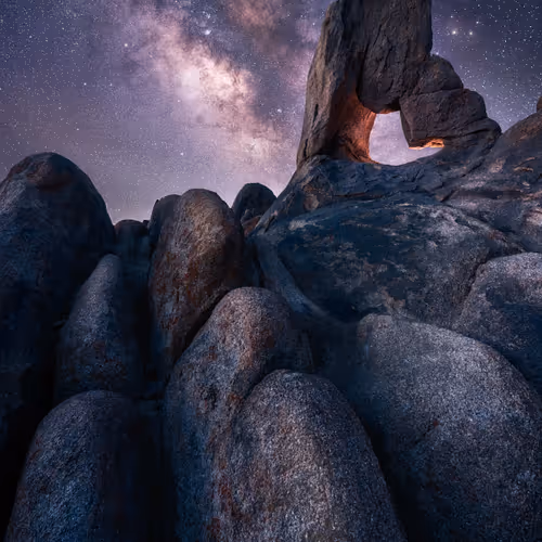 California Stars By Jennifer Peterson