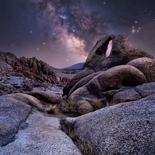 California Stars By Jennifer Peterson