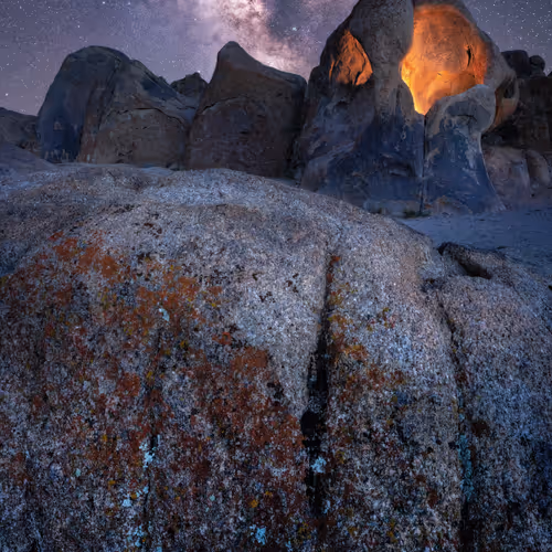 California Stars By Jennifer Peterson