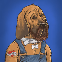 Hillbilly Dogs #249