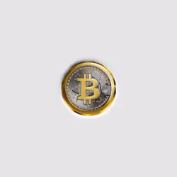 SATOSHI NAKAMOTO