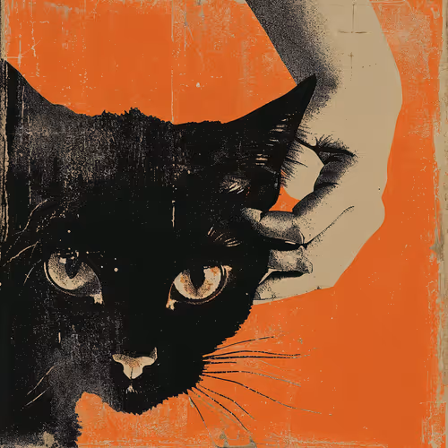 le cat noir