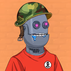 RebelBot #07862