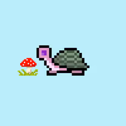 I Like Turtles #382