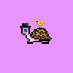 I Like Turtles #811