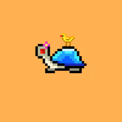 I Like Turtles #705