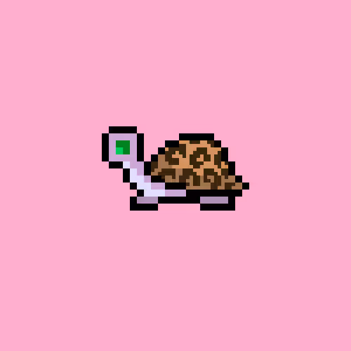 I Like Turtles #210