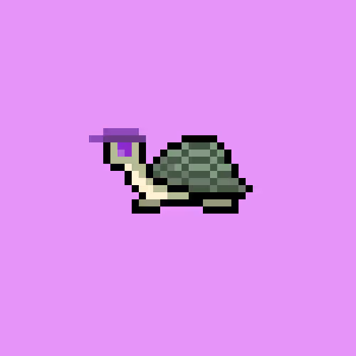 I Like Turtles #507