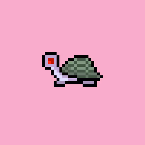 I Like Turtles #434