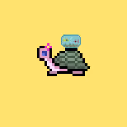 I Like Turtles #162