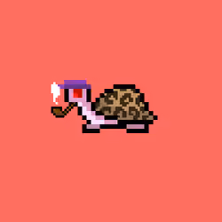 I Like Turtles #170