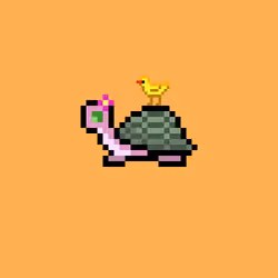 I Like Turtles #804