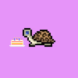 I Like Turtles #534