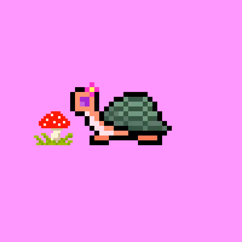 I Like Turtles #700