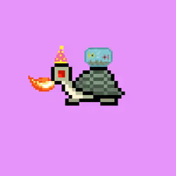 I Like Turtles #704