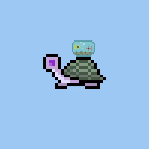 Iliketurtles
