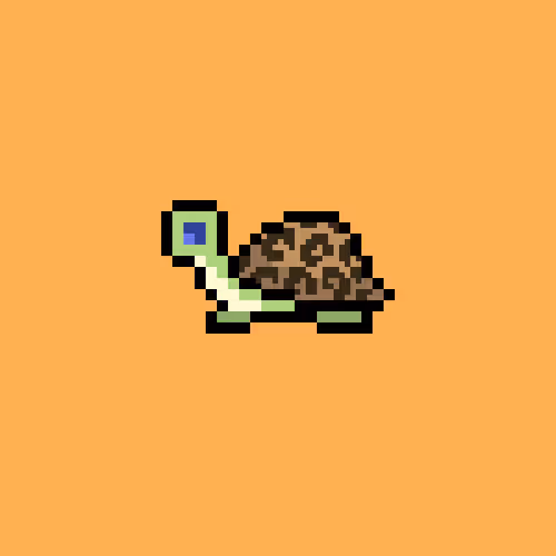 Iliketurtles