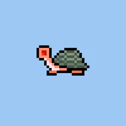I Like Turtles #139
