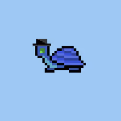 I Like Turtles #951