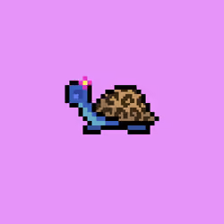 I Like Turtles #577