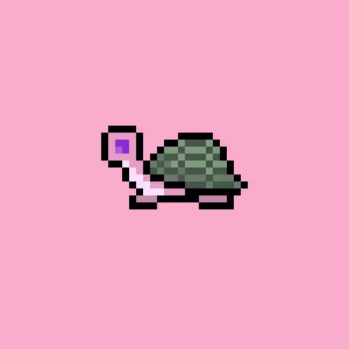 I Like Turtles #85